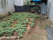 Hình ảnh Bán gấp lô đất Dương Quang- Giá Tốt- Vị trí tiềm năng- sổ sẵn cầm tay