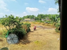 Hình ảnh Bán 12 lô đất sổ riêng Thạnh Phú chỉ 500 triệu 1 lô