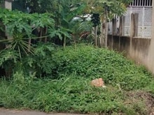 Hình ảnh Bán lô đất 135 m2 mặt đường nhựa kinh doanh Tân Bình phường Tân Triều