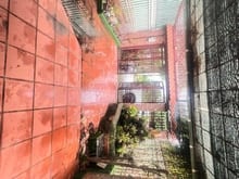 Hình ảnh Bán nhà gỗ mặt tiền sông trước công trường học tô ngọc vân