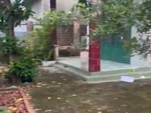 Hình ảnh Bán nhà vườn Bình lợi gần cầu Bạch Đằng 2 ra hương lộ 7 chỉ 30 mét