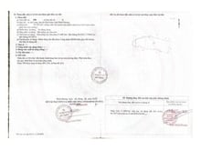 Hình ảnh Cho thuê đất trống CLN tại Xã An Long, Tp. Hồ Chí Minh giá 20tr DT 4,5