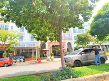 Hình ảnh Cho thuê nguyên căn Nhà phố kinh doanh Đường Hà Huy Tập, có thang máy