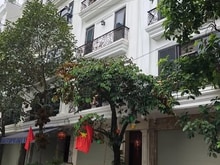 Hình ảnh 🔥 Mua nhà mùa này – Chốt ngay nhà QUANG TRUNG HOT NHẤT TUẦN!