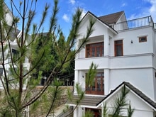 Hình ảnh Sang nhượng villa tâm huyết nguyễn đình chiểu, đà lạt - 5pn, sân vườn