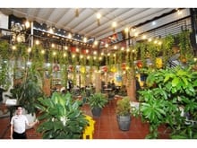 Hình ảnh Nhà nguyên căn mặt tiền phạm văn đồng, 290m2, 30tr