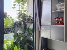 Hình ảnh Chung cư Botanica Premier,P2, Tân Bình: 77m2, 2PN, Nội thất, 17tr/thán