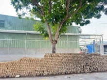 Hình ảnh Cho thuê kho đường Đặng Thùy Trâm, DT 10x20m. Giá 20tr/tháng TL