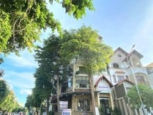 Hình ảnh Bán Biệt Thự GÓC 2MT Diệp Minh Châu-Tân Phú.DT 13.6x18- DTCN 165m2- 4T