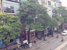 Hình ảnh ❗Cho thuê mặt bằng kinh doanh phố NGUYỄN CHÍ THANH - ĐỐNG ĐA.