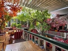 Hình ảnh Bán CAFE “Phố Xưa” ngang 24m 3 lầu sân vườn 624m2 Nguyễn Ảnh Thủ 48 tỷ