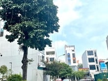 Hình ảnh Đất đấu giá Phúc Lợi, Vỉa hè 3 oto tránh kinh doanh dt 90m2 mt 6m