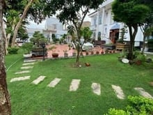 Hình ảnh Giảm 4 tỷ , Biệt Thự vườn , 1300m2 , 2 tầng , Siêu đẹp Siêu Vip