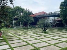 Hình ảnh Bán Biệt Thự Sân Vườn , 1700m2 ( 40 x 43 ) , Dĩ An , Nhỉnh 8trm2