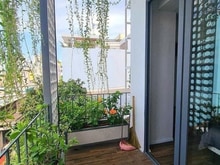 Hình ảnh Khai trương Trang Chủ MB66.COM / Đăng Ký Tặng 66K 35m2 full nội thất tiểu cảnh sân vườn 3/2 Q10