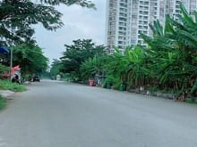 Hình ảnh Cần tiền bán gấp đất nên dự án 13E làng việt kiều
