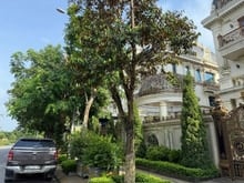 Hình ảnh Siêu biệt thự 360m2 x 4 tầng, mặt tiền 20m ngay Linh Đàm, giá 68 tỷ