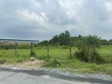 Hình ảnh Bán đất đường Hưng Long - Quy Đức, Bình Chánh ( 1,5ha )