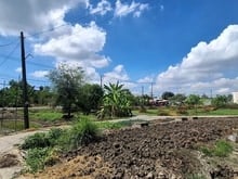 Hình ảnh Bán đất đường Tân Liễu, Hưng Long, Bình Chánh