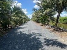 Hình ảnh Bán Đất Vườn Lê Minh Xuân – Diện tích 5.000m²