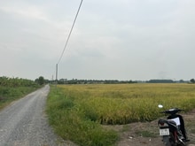 Hình ảnh Bán đất Kênh 10, Lê Minh Xuân, Bình Chánh 30.000m