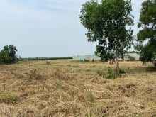 Hình ảnh Bán đất vườn đường Kênh 10, Lê Minh Xuân ( gần Vành Đai 3 )