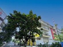 Hình ảnh Siêu Hot ! Giảm gấp 5 tỷ căn nhà mt Đỗ Pháp Thuận, Hầm 3 lầu nhỉnh 3x