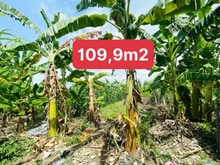 Hình ảnh DA68 Bán đất hẻm 4m thôn Phú Ân Nam xã Diên An giáp địa phận Nha TRang