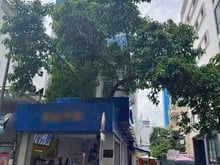 Hình ảnh 3x tỷ! Bán góc 2 MT Đ. Nguyễn Văn Thủ, Q1 - 4.1x19.5m - 5 Tầng.