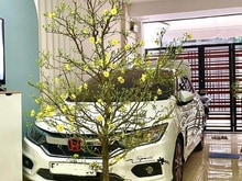 Hình ảnh Nhà XHX Gò Vấp P 16-3 Tầng chỉ hơn 7 Tỷ vào ở ngay