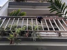 Hình ảnh Bán nhà phố Văn Chương, oto, kinh doanh, 62m2, giá 15,2 tỷ