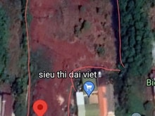 Hình ảnh Đất Mặt tiền Quốc Lộ 13 xã Lộc Tấn, Lộc Ninh Bình Phước 5300m2, 12,5tỷ