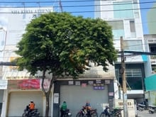 Hình ảnh 35 tỷ! Bán Mặt tiền Đ. Cách Mạng Tháng 8, Quận 3 – 5.6x26m – 3 Tầng