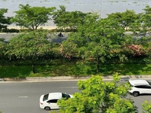 Hình ảnh Bán đất MT  Bát Nàn Quận 2 DT 10x21,37m CTXD: hầm + 5 tầng giá 35 tỷ