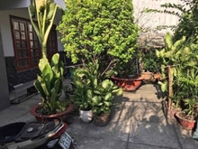 Hình ảnh 🏠 Bán nhà 177m² Xô Viết Nghệ Tĩnh P.26 Bình Thạnh – Hẻm 6m thông
