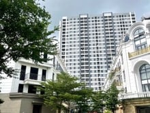 Hình ảnh Shophouse Liền kề 31ha Trâu quỳ, 5 tầng thang máy 85m2 - MT 6m