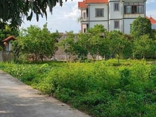Hình ảnh ĐẤT ĐẸP Đường Thông  Ô TÔ tránh  Chương Dương - Thường Tín - HN