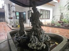 Hình ảnh Bán đất Kim Ngưu vuông đẹp, 24 tỷ/ 193 m2 (120m2 đất ở+ 73m2 đất vườn)