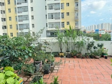 Hình ảnh Cần cho thuê nhanh Trang Chủ MB66.COM / Đăng Ký Tặng 66K Sky Garden, PMH Q7,2PN 2WC giá 12tr/th