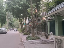 Hình ảnh Bán biệt thự Nguyễn Duy Trinh, Linh Đàm, 252m2, 5 tầng, giá 62 tỷ