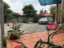 Hình ảnh Đất thổ nhà vườn Đại Phước Nhơn Trạch,oto,giá rẻ 7,5ty/1300m,chính chu