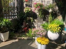 Hình ảnh Bán nhà khu biệt thự HỒNG LONG – Huỳnh Lan Khanh, Phường 2, Tân Bình