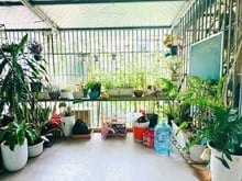 Hình ảnh 🌟HOA HẬU! Chỉ 4,13 tỷ tập thể Trung Tự_Đống Đa_2 ban công_70m2 2pn nh