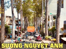 Hình ảnh Cho thuê mặt bằng 1A SƯƠNG NGUYÊT ÁNH