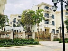 Hình ảnh Bán Biệt thự Victoria Ba Son Quận 1, 225m2 đất, 1 hầm + 4 tầng, 330 tỷ