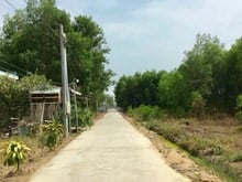 Hình ảnh Bán gấp đất nhà vườn Nhơn Trạch giá rẻ, MT cầu Phú Mỹ 2. SR chính chủ