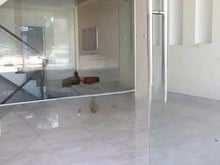 Hình ảnh Cho thuê nhà 5X20 4 lầu thang máy đg Ngô Thị Bì , KDC Him Hưng, Quận 7
