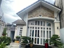Hình ảnh Nhà biệt thự 8X17 5P đường Huỳnh Tấn Phát, P Tân Thuận Tây, Quận 7