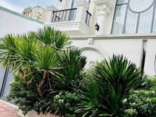 Hình ảnh Cho Thuê Biệt thự full nội thất KDC  D2D, Võ Thị Sáu
