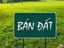 Hình ảnh Thanh lý lô đất Phường Tân Mai, TP.Biên Hòa, Đồng Nai